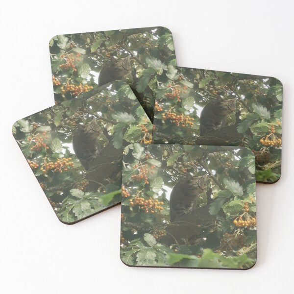 Item preview, Treetop Adventurer designed and sold by FeralKitty1009.
