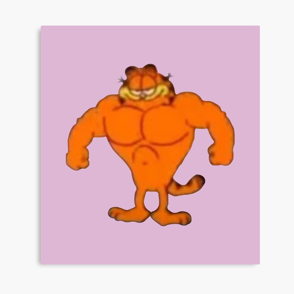 Buff Garfield Meme\