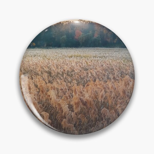 Item preview, Dry reed land designed and sold by psychoshadow.