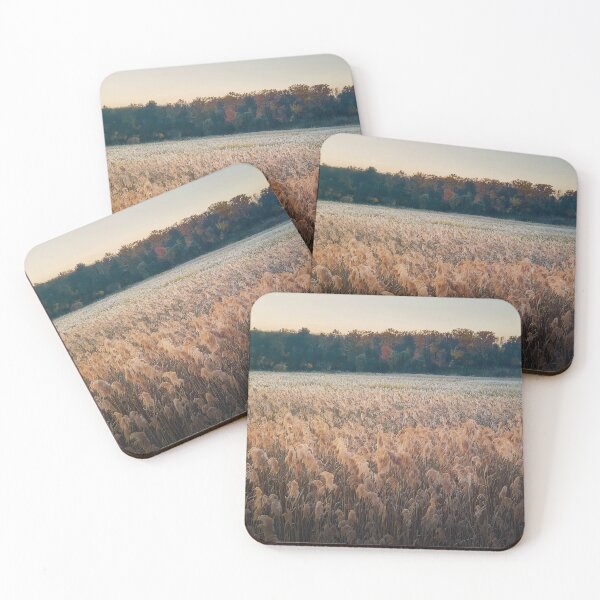 Item preview, Dry reed land designed and sold by psychoshadow.