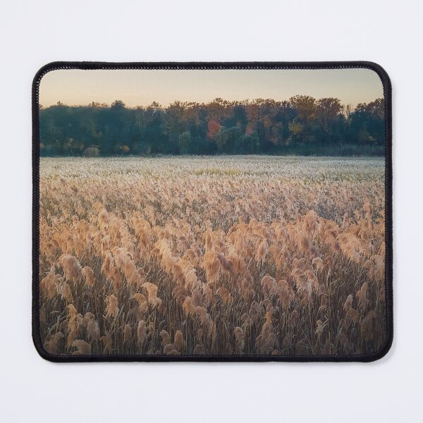 Item preview, Dry reed land designed and sold by psychoshadow.