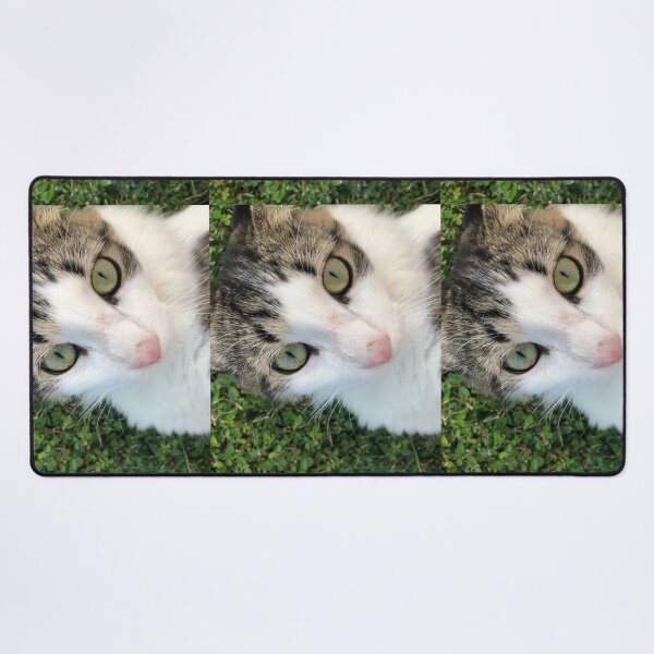 Item preview, Shio the Cat 1 designed and sold by Amospicazo.