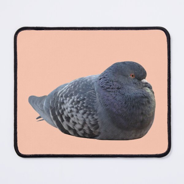 Item preview, chubby pigeon  designed and sold by tttatia.