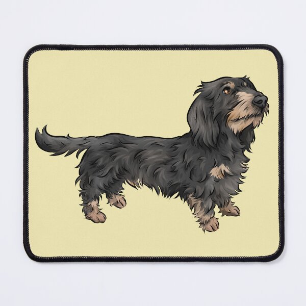 Item preview, Wire Haired Dachshund | Black and Tan | Cute Dog Art designed and sold by shirinsart.