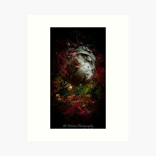Item preview, Nest designed and sold by Aliwatsonphotos.