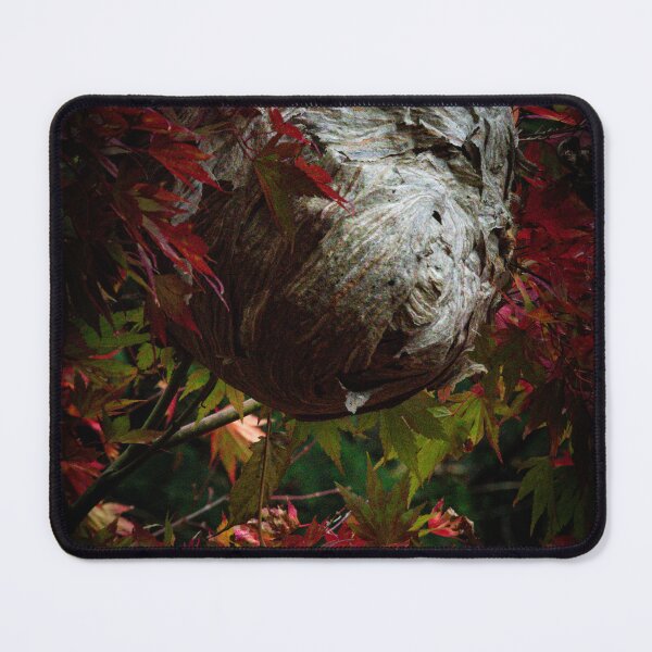Item preview, Nest designed and sold by Aliwatsonphotos.