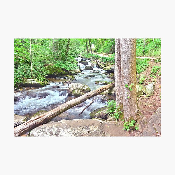 Item preview, The Stream At Anna Ruby Falls Helen Georgia designed and sold by LisaWootenPhoto.