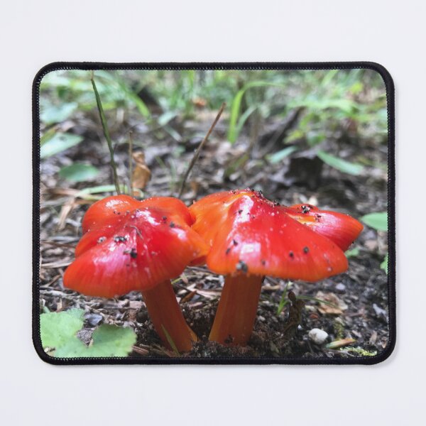 Item preview, Woodland Mushroom designed and sold by JTRLandscapes.