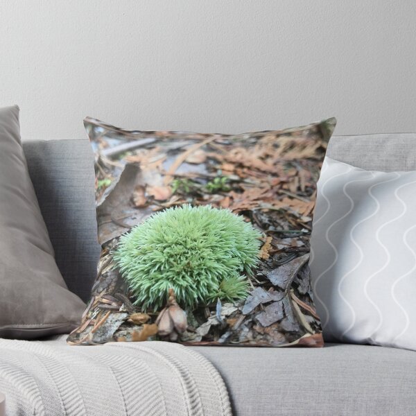 Item preview, Moss designed and sold by JTRLandscapes.