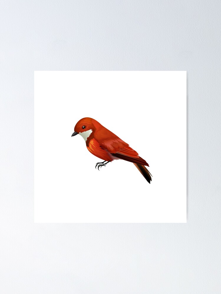 "Mini sparrow. Small red bird design and texture." Poster for Sale by
