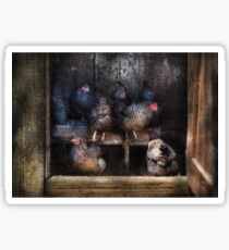 Animal - Chicken - The Hen House Sticker