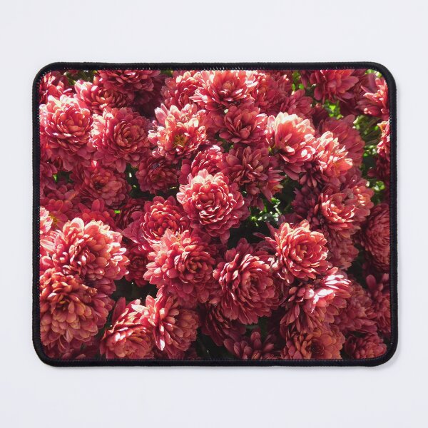 Item preview, summer Chrysanthemums designed and sold by Zarabeaver.
