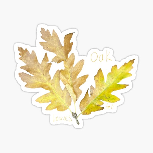 Item preview, Oak Leaves Fall designed and sold by Lindyjo.