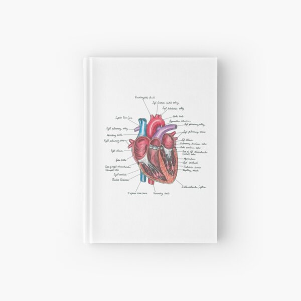Healthy Heart | Heart Anatomy | Medical Illustration Hardcover Journal