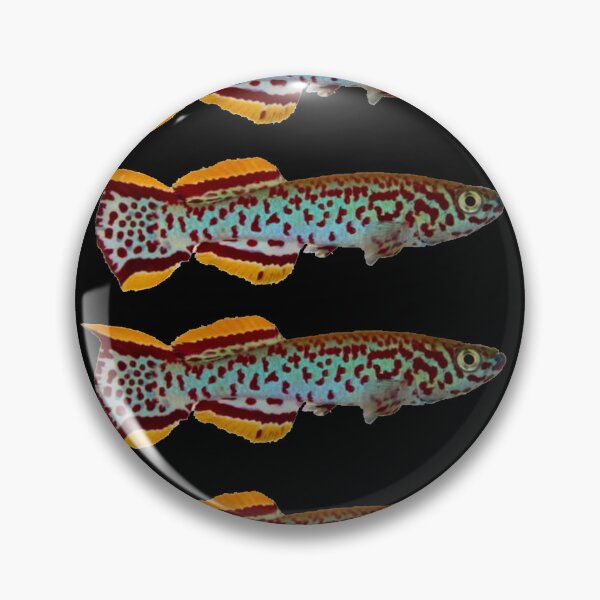 Item preview, Gardneri multi-fish pattern x4 designed and sold by killies.