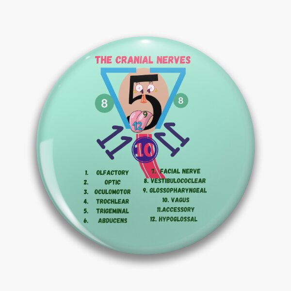 Item preview, The Cranial Nerves ] Nursing Student ] Medical Students designed and sold by Denefie.