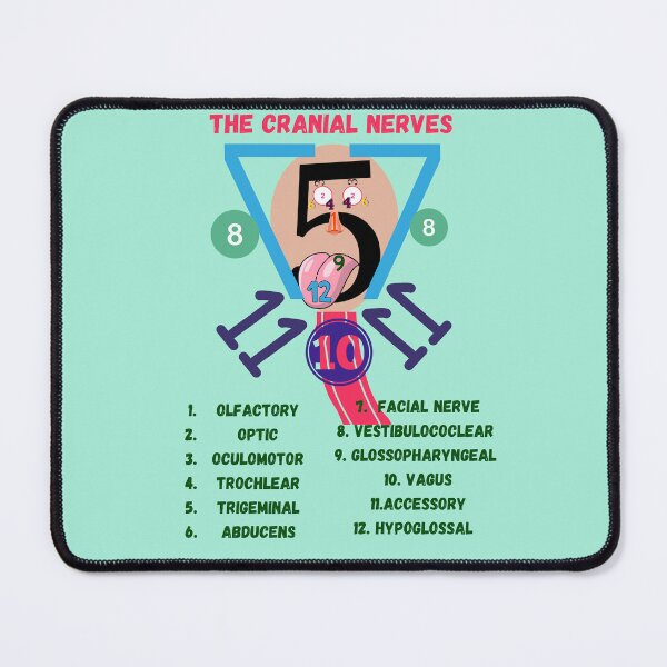 Item preview, The Cranial Nerves ] Nursing Student ] Medical Students designed and sold by Denefie.