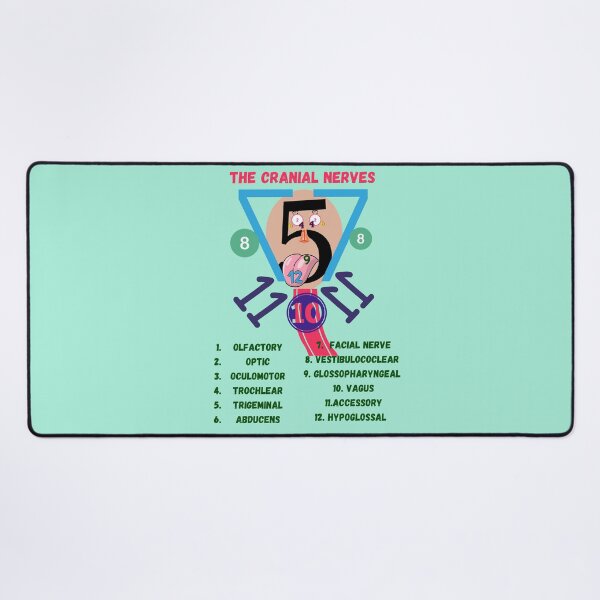 Item preview, The Cranial Nerves ] Nursing Student ] Medical Students designed and sold by Denefie.
