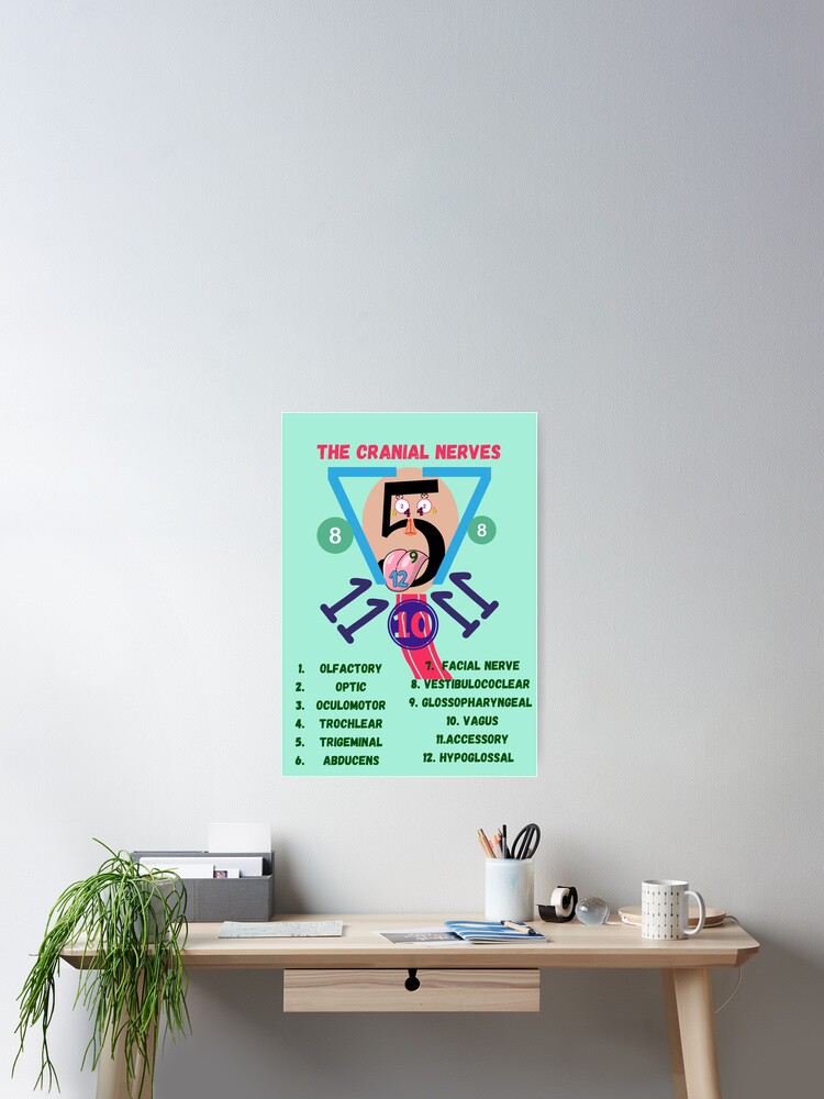 The Cranial Nerves ] Nursing Student ] Medical Students Poster