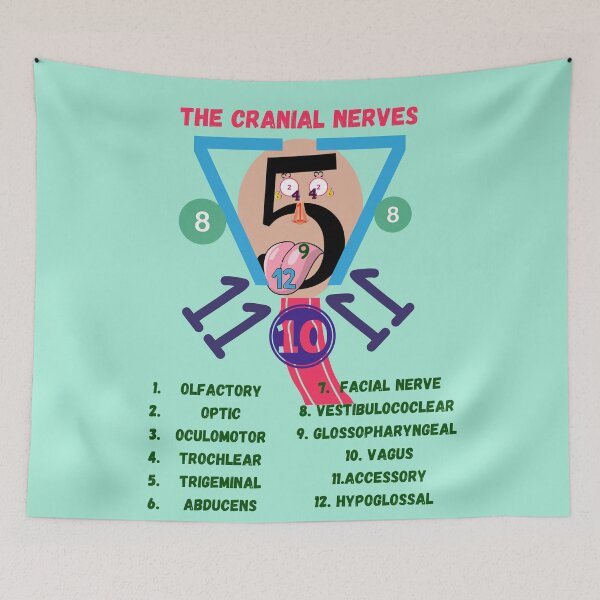 Item preview, The Cranial Nerves ] Nursing Student ] Medical Students designed and sold by Denefie.