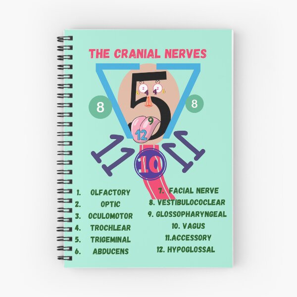 Item preview, The Cranial Nerves ] Nursing Student ] Medical Students designed and sold by Denefie.