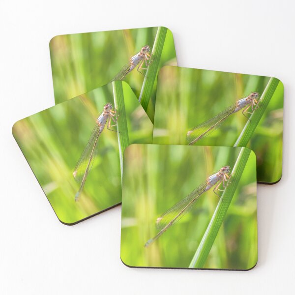 Item preview, Damselfly  designed and sold by jvnimages.