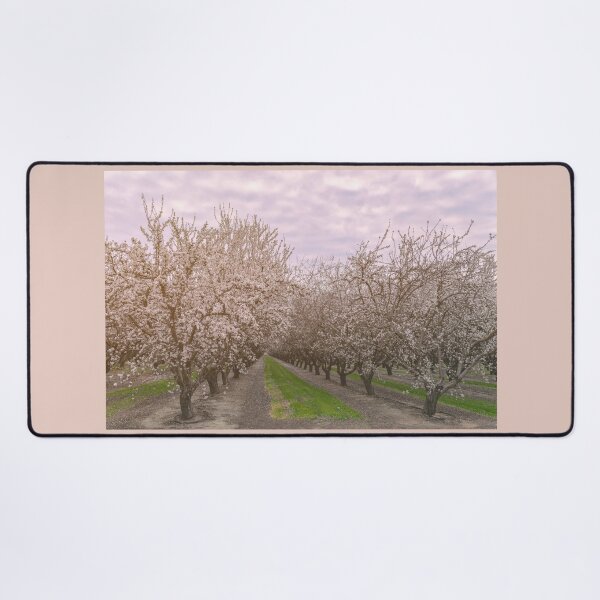 Item preview, Blooming Almonds designed and sold by jvnimages.
