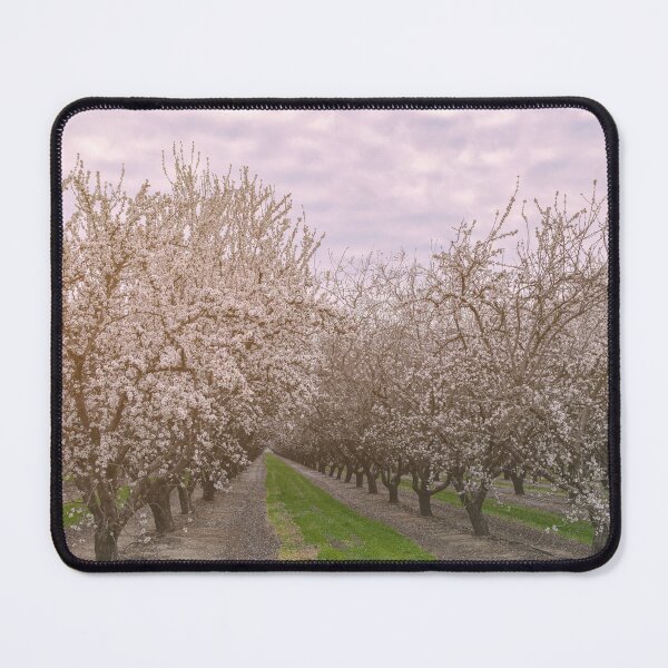 Item preview, Blooming Almonds designed and sold by jvnimages.