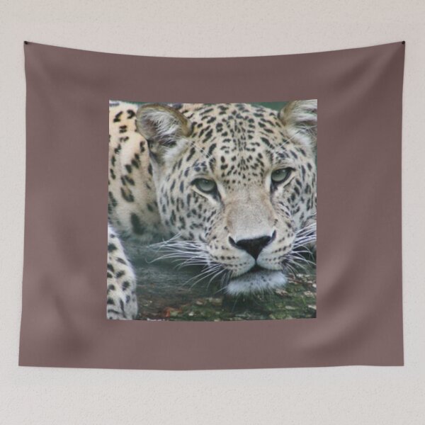 Item preview, *Tiger* designed and sold by Berezabella.