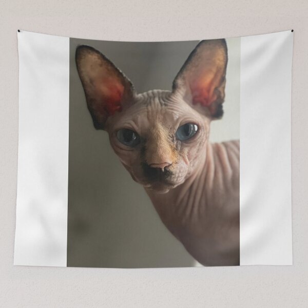 Item preview, Sphynx cat designed and sold by Jenslemmens.