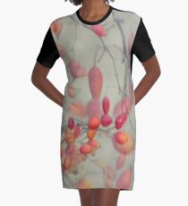 Cinorrodo Graphic T-Shirt Dress