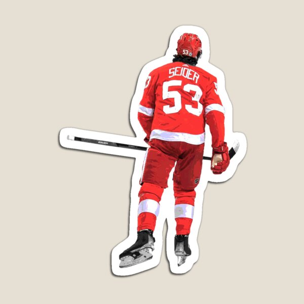 Detroit Red Wings Magnets for Sale