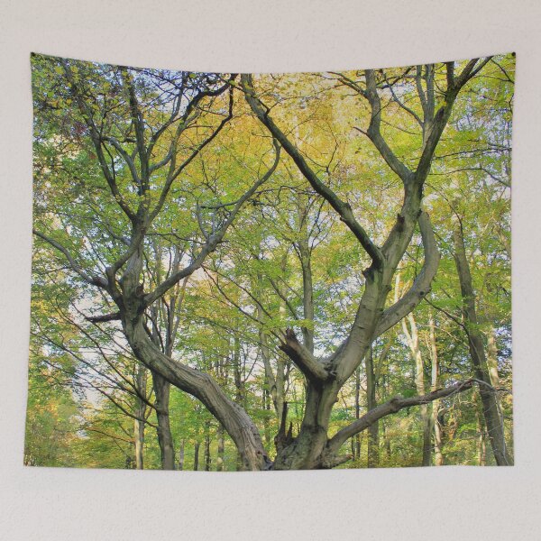 Item preview, Tree In The Woods designed and sold by Vicki Spindler (VHS Photography).