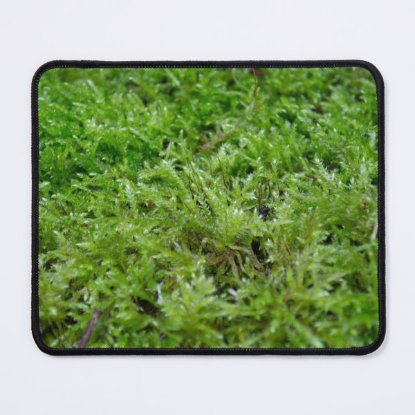 Item preview, Moss designed and sold by ArboreSciences.