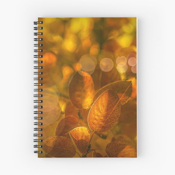 Item preview, Autumn leaves 11 designed and sold by Veikko  Suikkanen.