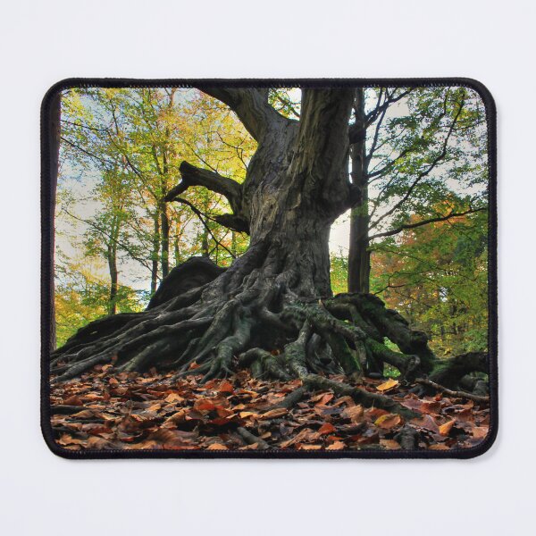 Item preview, Root To The Tree designed and sold by Vicki Spindler (VHS Photography).