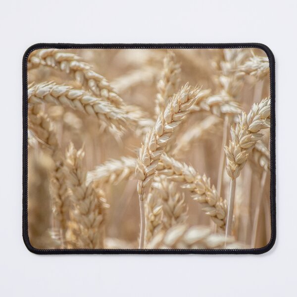 Item preview, Golden wheat designed and sold by ArboreSciences.