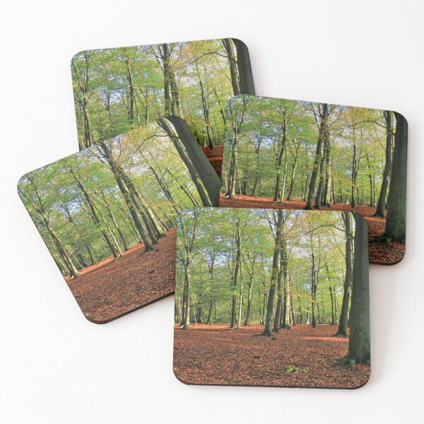 Item preview, Walking Through Thorndon Park designed and sold by Vicki Spindler (VHS Photography).