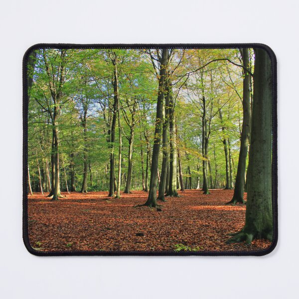 Item preview, Walking Through Thorndon Park designed and sold by Vicki Spindler (VHS Photography).