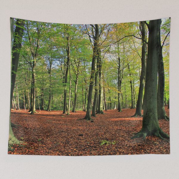 Item preview, Walking Through Thorndon Park designed and sold by Vicki Spindler (VHS Photography).
