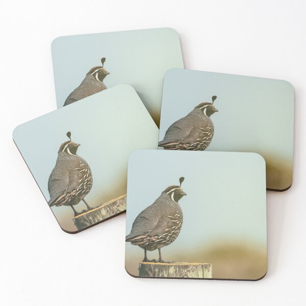 Item preview, California Quail designed and sold by jvnimages.
