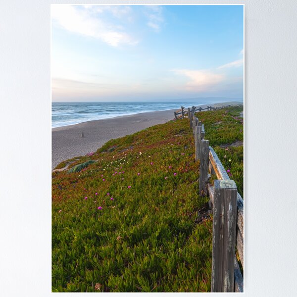 Item preview, Playa de Punta Reyes designed and sold by jvnimages.