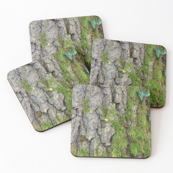 Item preview, Corteccia designed and sold by ArboreSciences.