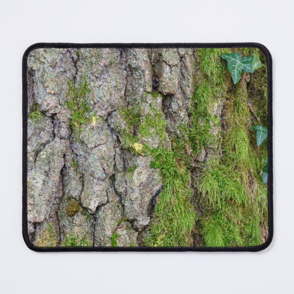 Item preview, Corteccia designed and sold by ArboreSciences.