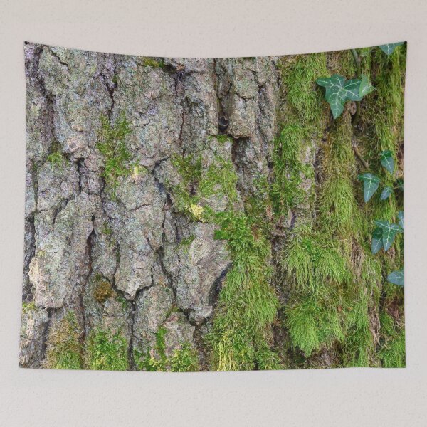 Item preview, Corteccia designed and sold by ArboreSciences.
