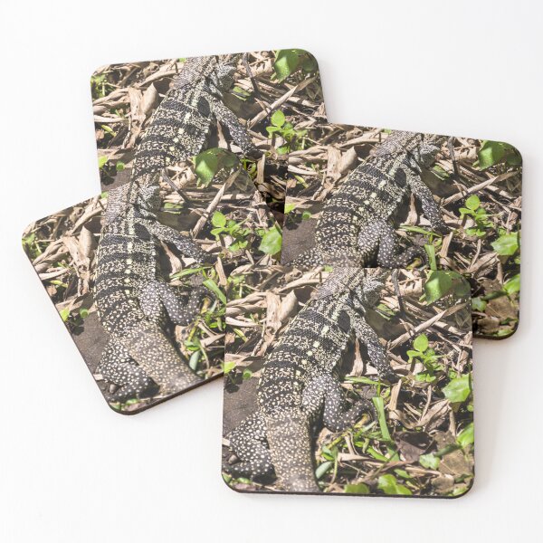 Item preview, lizard in the sun. designed and sold by Nino rocha fotografia.