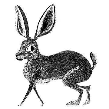 Artwork thumbnail, Scratchboard Rabbit by Auburn Kelton
