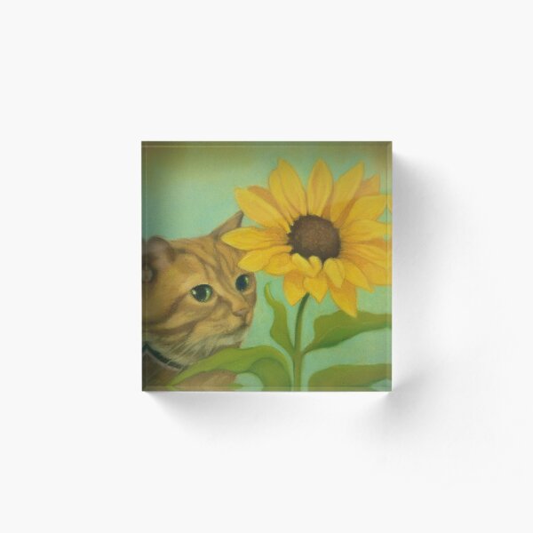 Shy Ginger Cat With Sunflower Acrylic Block