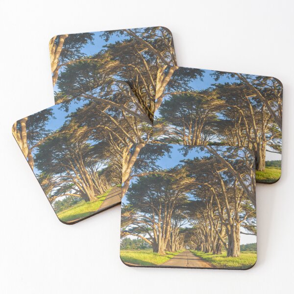 Item preview, Monterey Cypresses designed and sold by jvnimages.