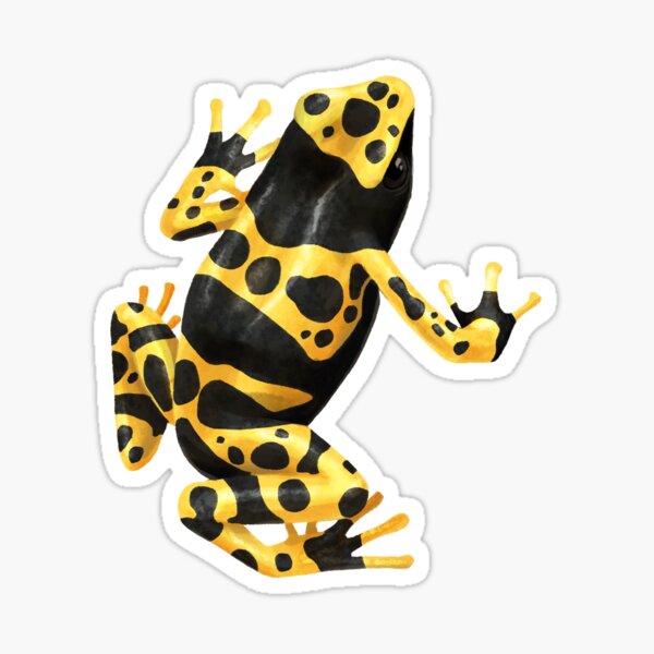 Item preview, Poison Dart Frog designed and sold by birdsandworms.
